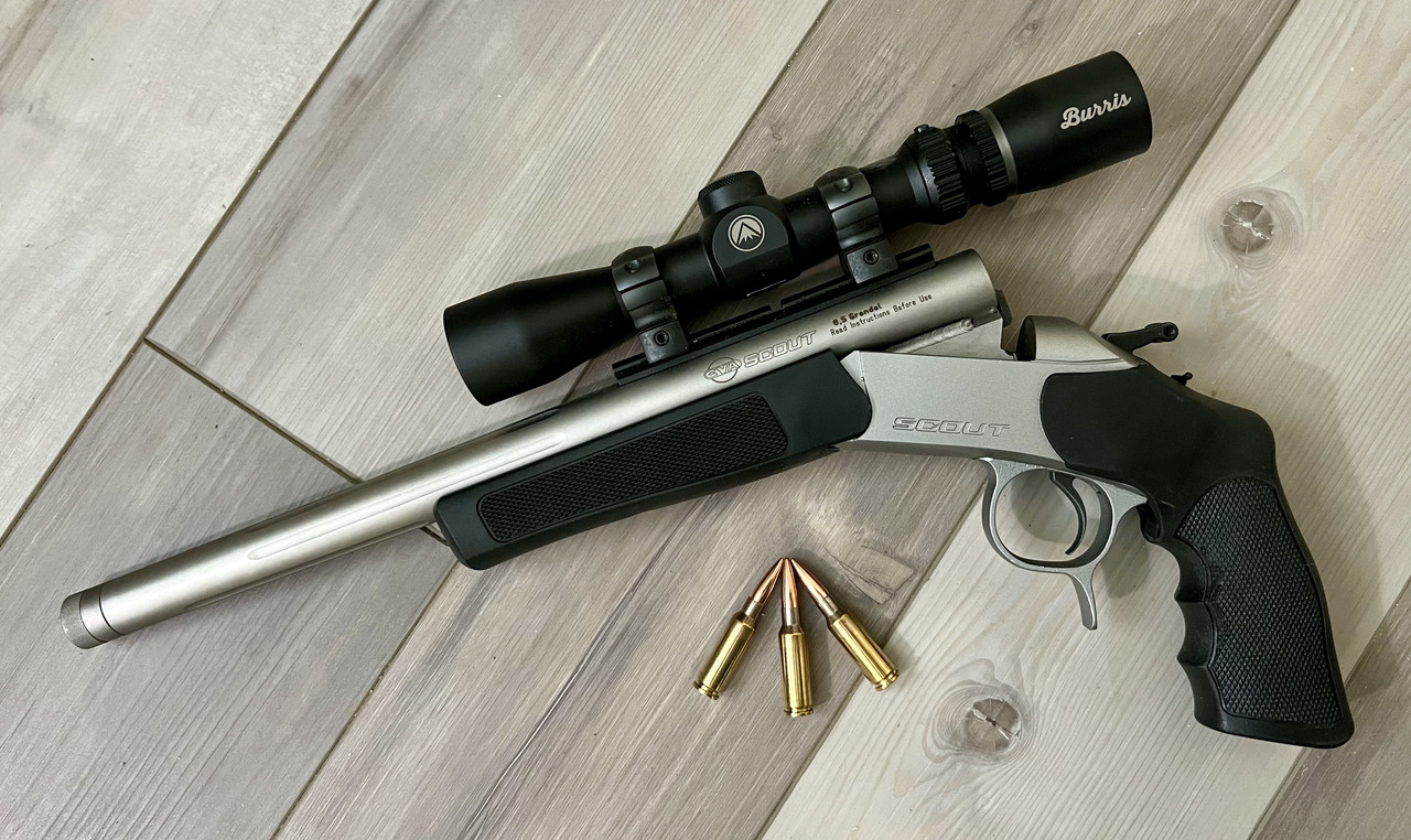 [Image: image-67177217-1.jpg]