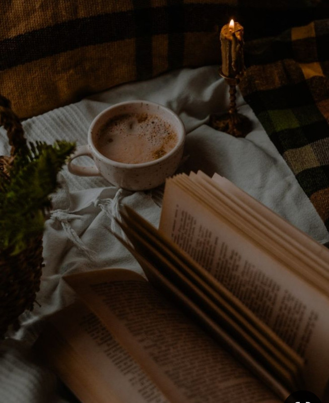 Screenshot_20240529_234026_Pinterest