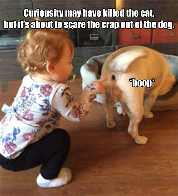 poop button