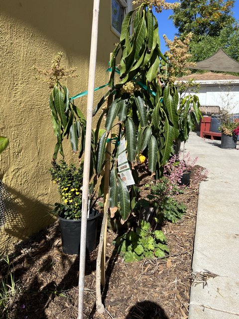 CE5CB3EF-A342-417E-89F7-BF0E2314936A