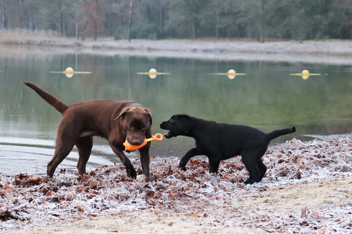 A23F368B-F813-4A63-A6E0-2E8D83460D1B