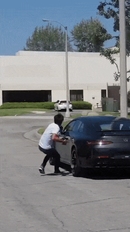 https://i.postimg.cc/FHG6X3xk/1.gif