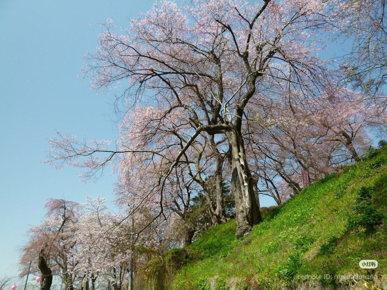 photo 18 2026 01 16 21 56 05