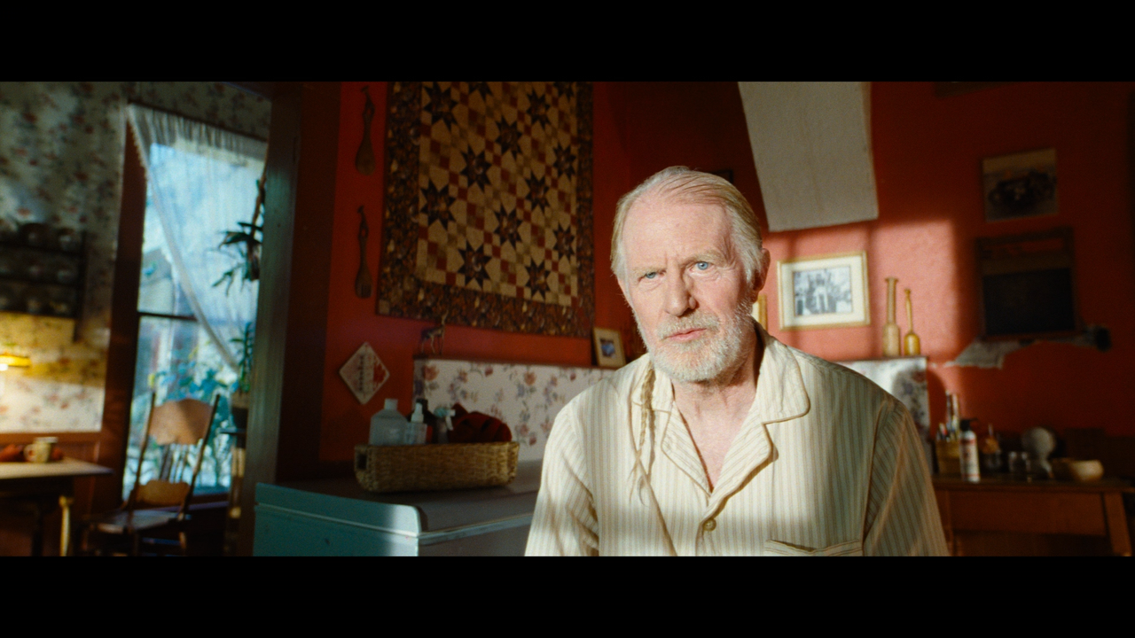 mpv shot Strange Darling 2023 1080p BDRemux GER Transfer AVC Нечипорук 00 42 01 0009