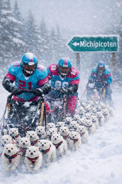 Source: https://i.postimg.cc/FHGj820S/F4392753-4BA6-4153-8B88-F00AD5D5C225.jpg