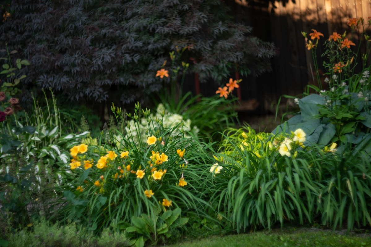 IMG-0a7076c0d41f82fe0d238ed8963fa5c4-V