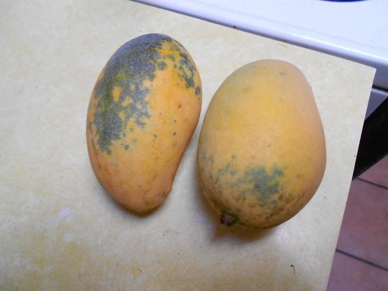 Lemon Zest with