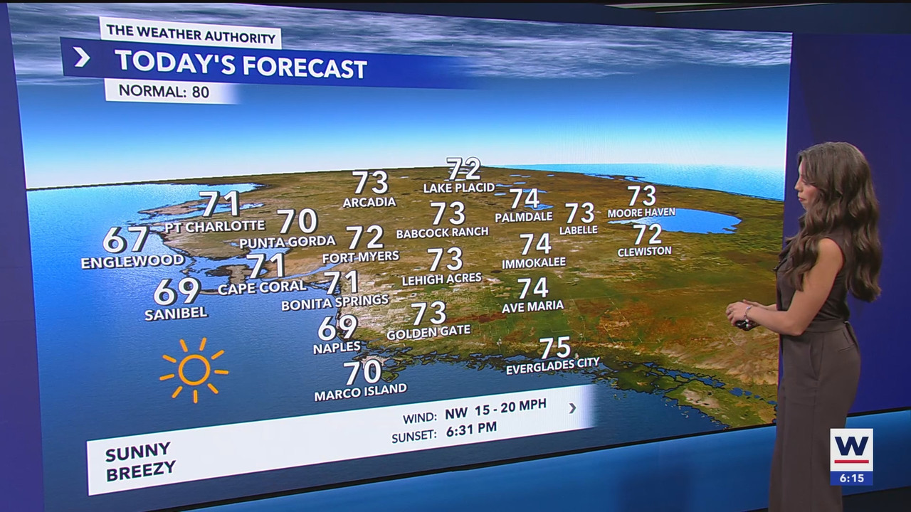 WINK News at 600am_20250306_11001130.ts_snapshot_16.36.696