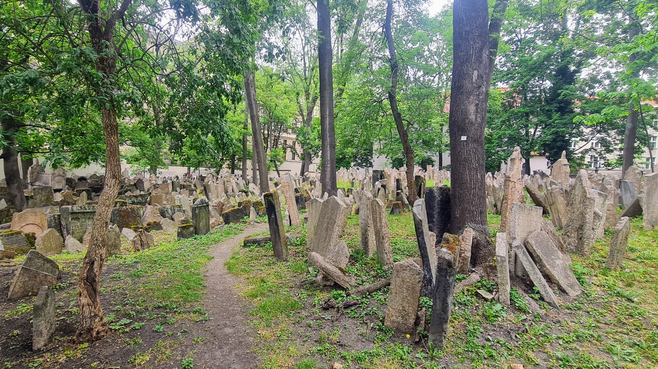 07.04 - 20240503_102745 (misia)