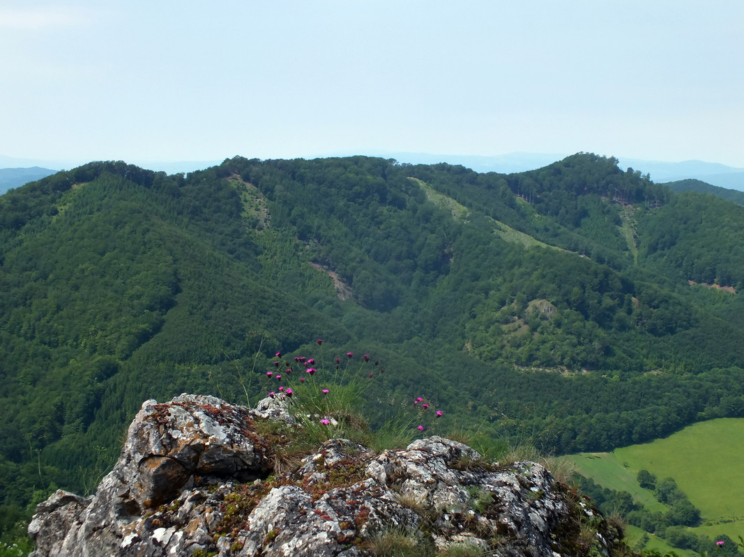 2019_0609STRAŻOWSKIE0018