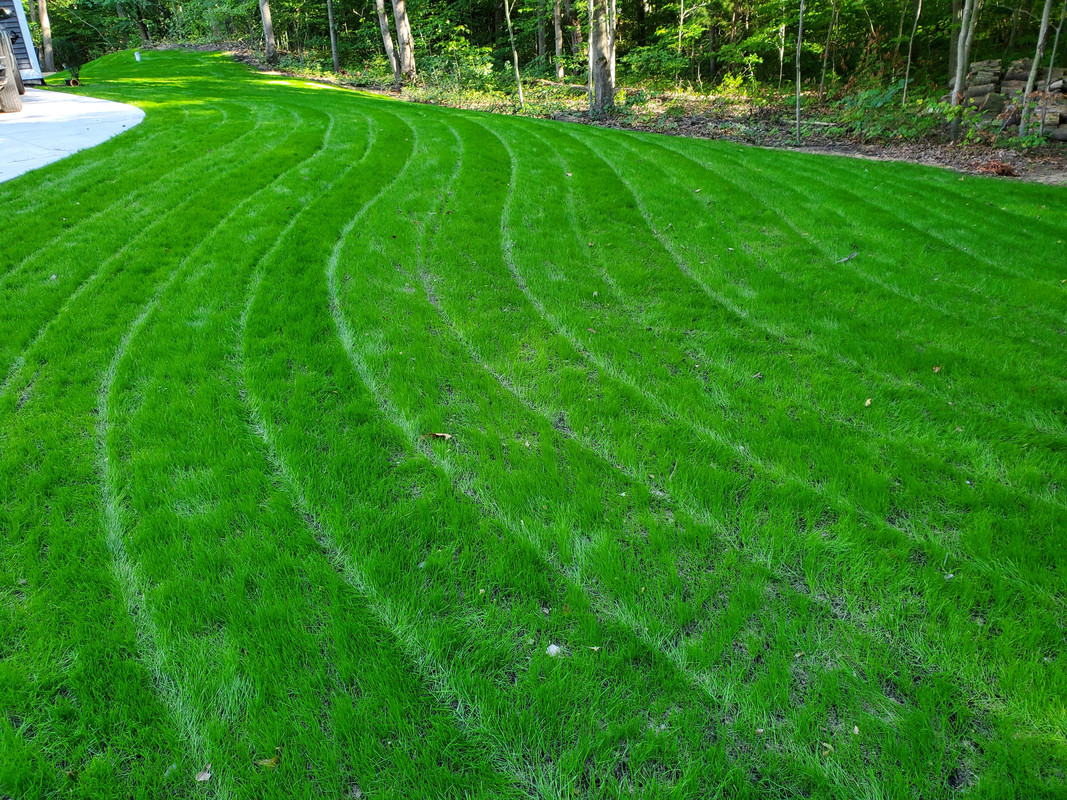 2FD3752E-8C83-4EFC-9F7A-248D16B7C19F