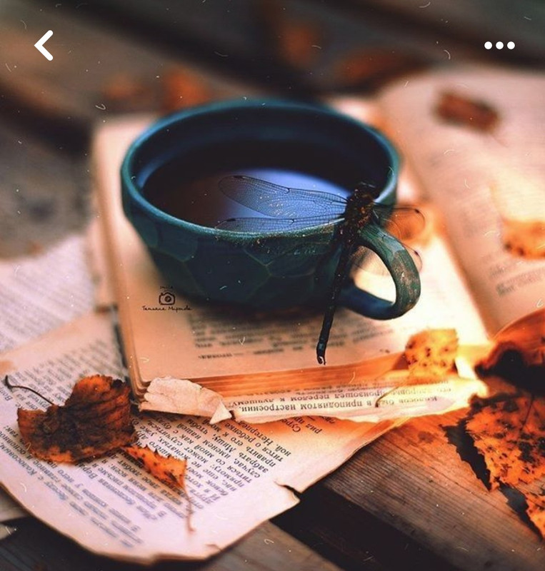 Screenshot_20240712_230907_Pinterest