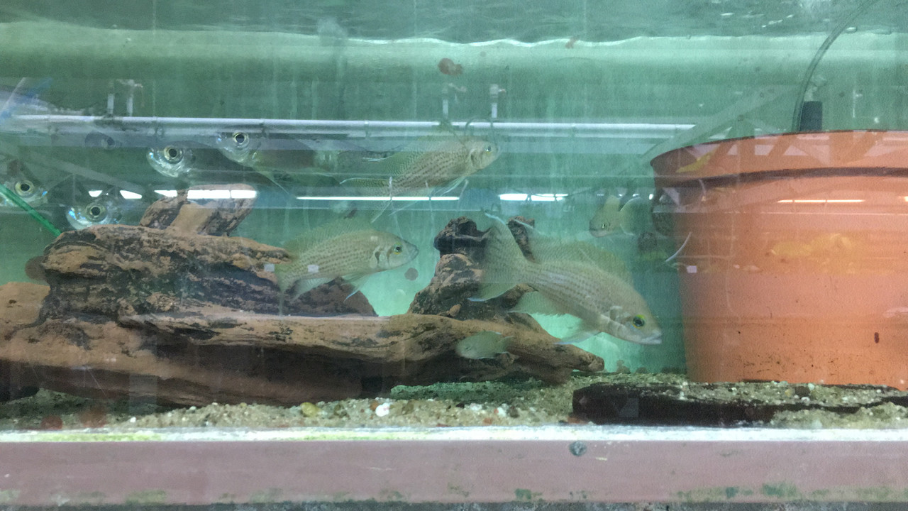 915BAA1B-37A7-4450-940A-9560075BE5DE