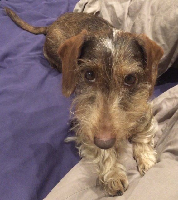 [Image: 13-CD4227-E6-F4-4333-B425-6096255-BBE5-C.jpg]