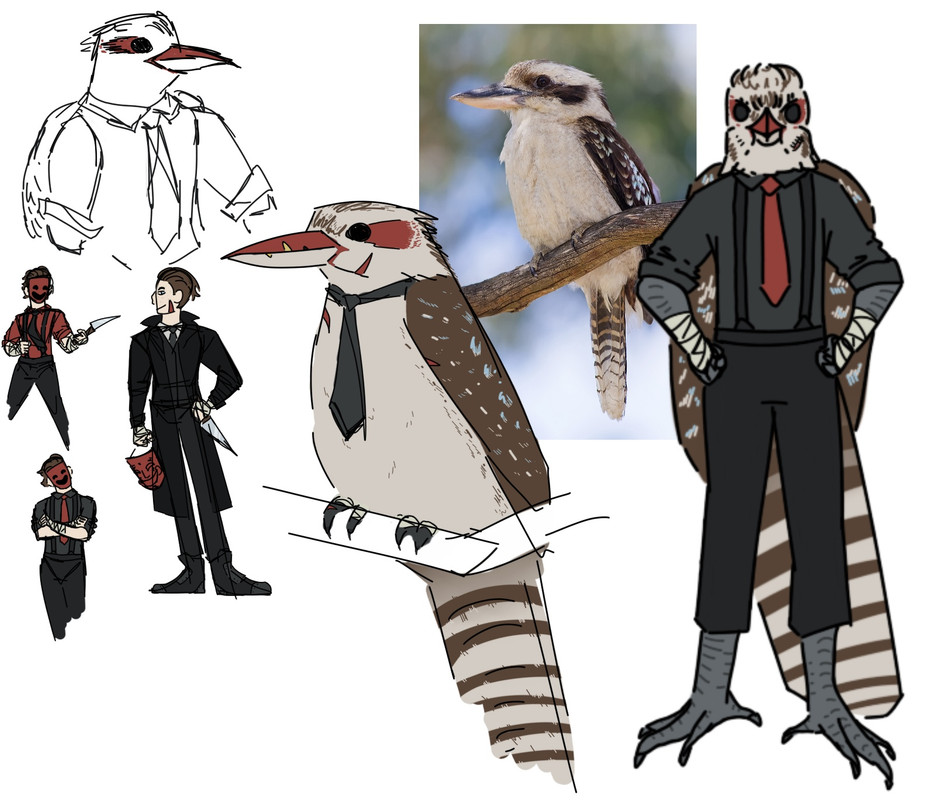 many drawings of Jack, some as a human, some as a anthro-furry Kookaburrah, and some as a regular kookanurrah with some of Jacks features