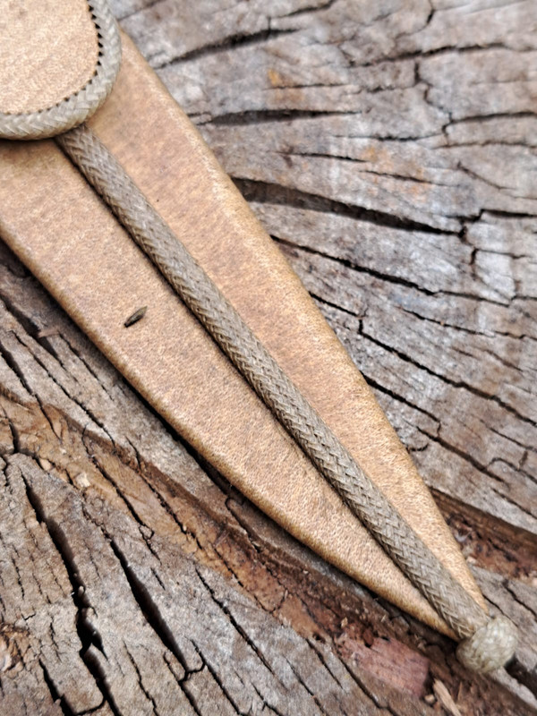 WhatsApp Image 2022-11-16 at 09.57.04 (3)