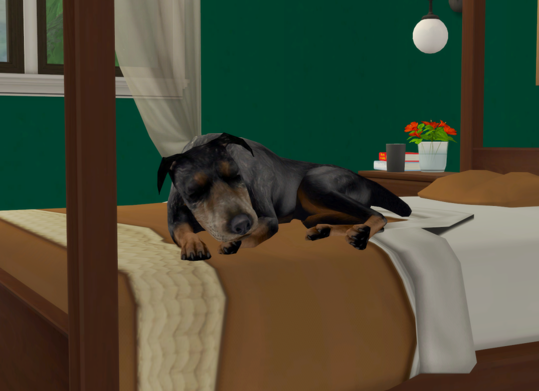 Sims2-EP9-RPC-2024-03-17-14-52-31-36