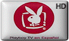 1-0-1-63-1-31-CE40000-0-0-0-HD.png