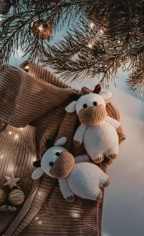 Screenshot_20231123_211945_Pinterest