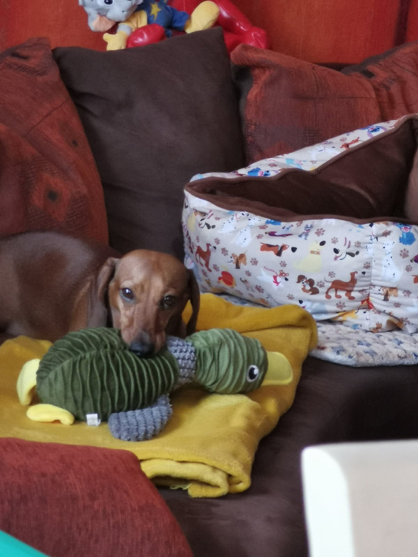 [Image: IMG-20250623-230053.jpg]