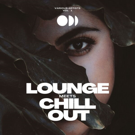 8eaa4421 5ce2 45dd a4cf 038c2960c37d - VA - Lounge Meets Chill Out Vol 1 (2022)