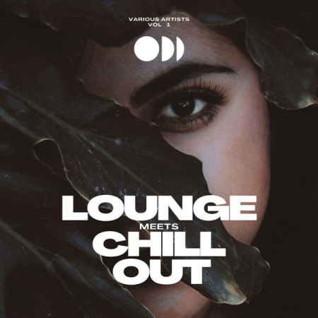 VA - Lounge Meets Chill Out Vol 1 (2022)