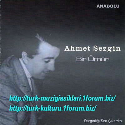 Ahmet Sezgin - Bir Omur (2012)