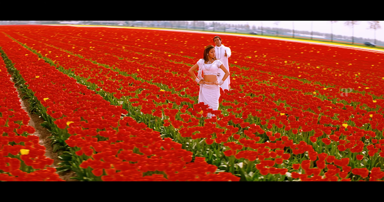 VideoCapture_20241122-195225