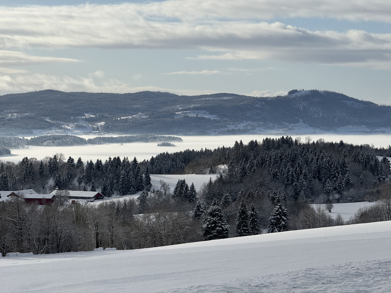 [Immagine: IMG-9256.jpg]