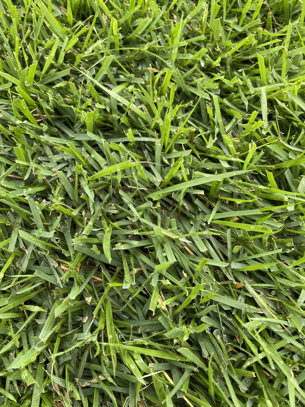 9D933422-4488-4ED0-97E0-A48BE46E0F80