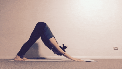 One-Legged Crow Pose / Eka Pada Bakasana (Advance level-IGIYS)