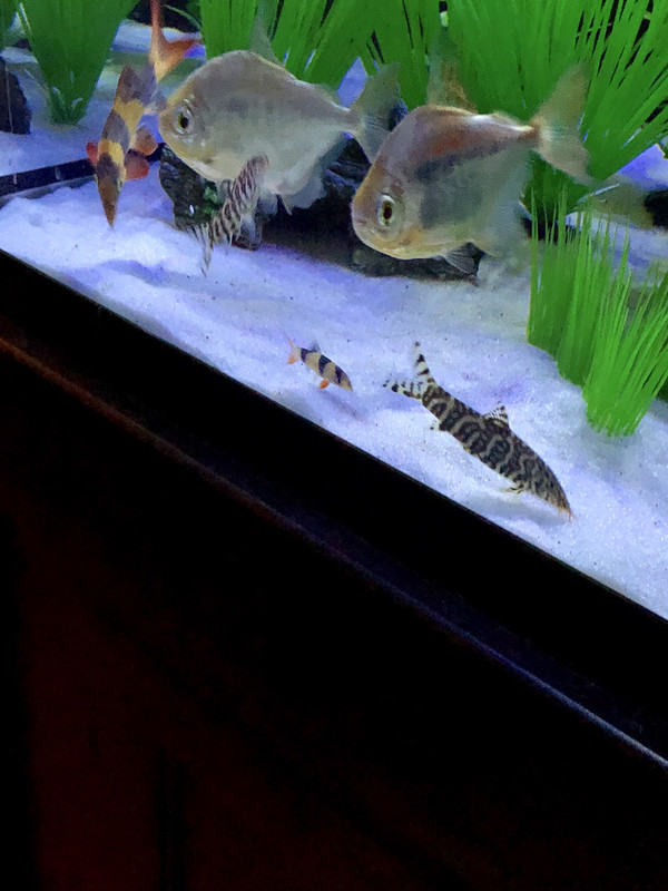 1067079F-95A2-49F6-9644-8E7B7AD7A25E