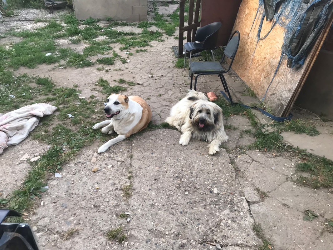 5C80F025-3190-4969-AD12-39D9DE489FA8