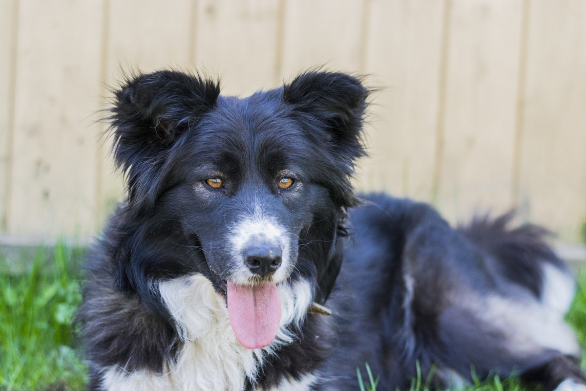 Фортуна_04_19_м3