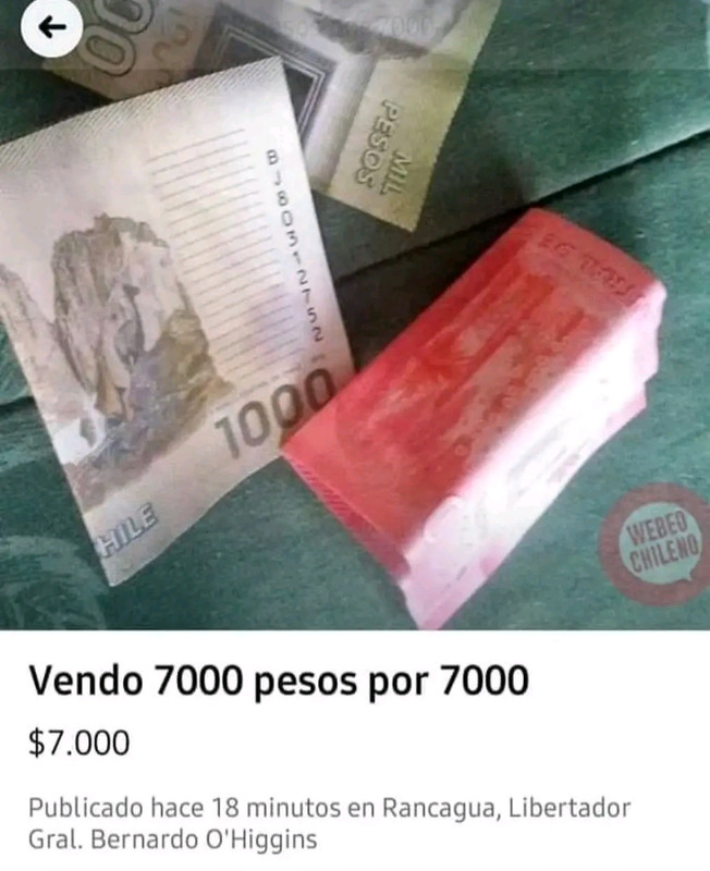 1697425116432.jpg