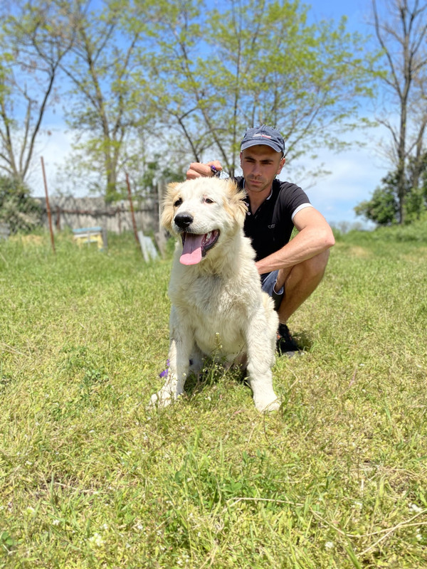 C9DA0FA3-0EEB-477A-897B-9A31DAF61BB8