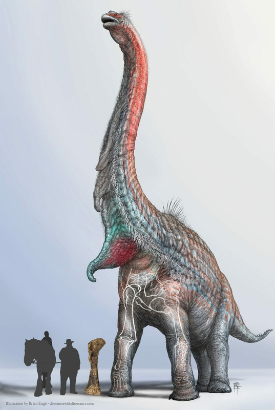 WedelBrachiosaurusFullBody