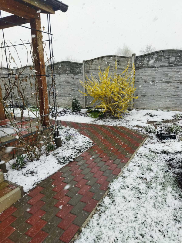 зображення_viber_2025-04-07_09-41-52-906