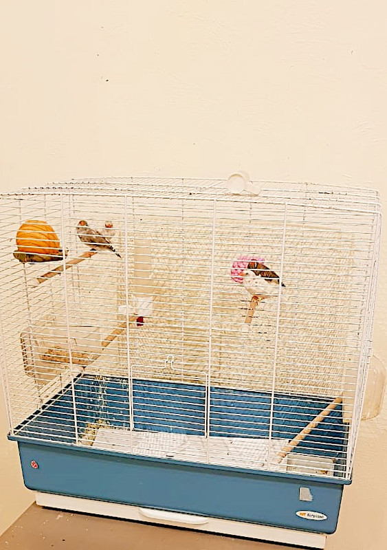 34FABB85-71D3-4CA9-A9CE-D5954FF8F088