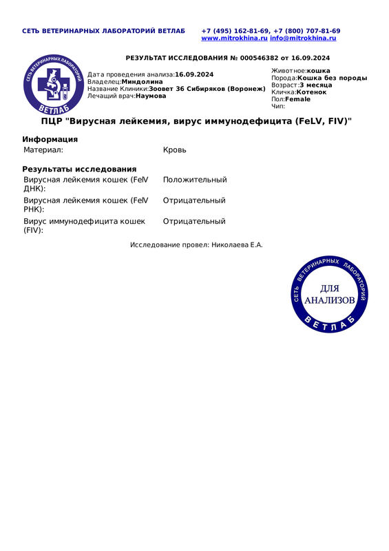 ПЦР Вирусная лейкемия вирус иммунодефицита Fe LV FIV Диагностическое