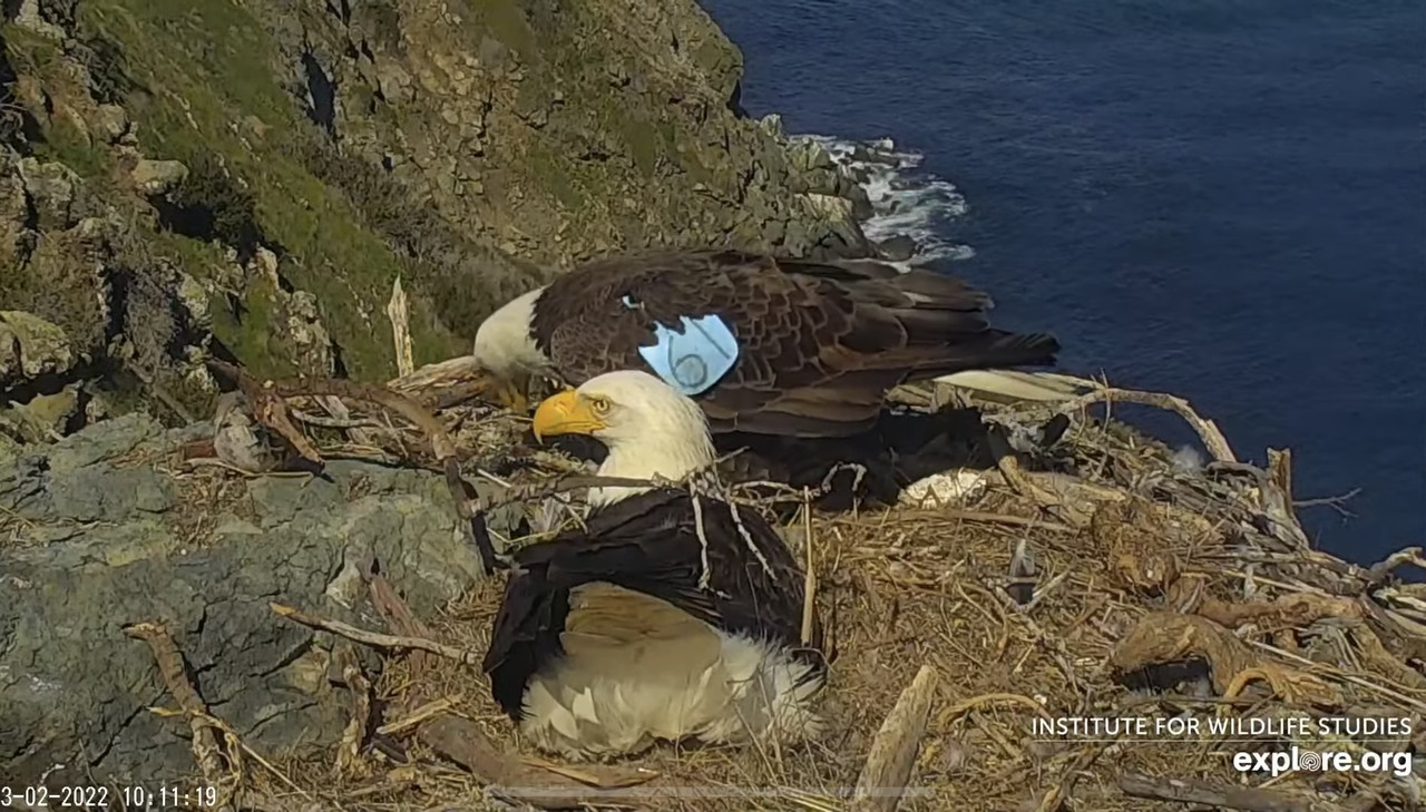 600A5877-BD49-4930-A6F7-03B8ED2F8C97