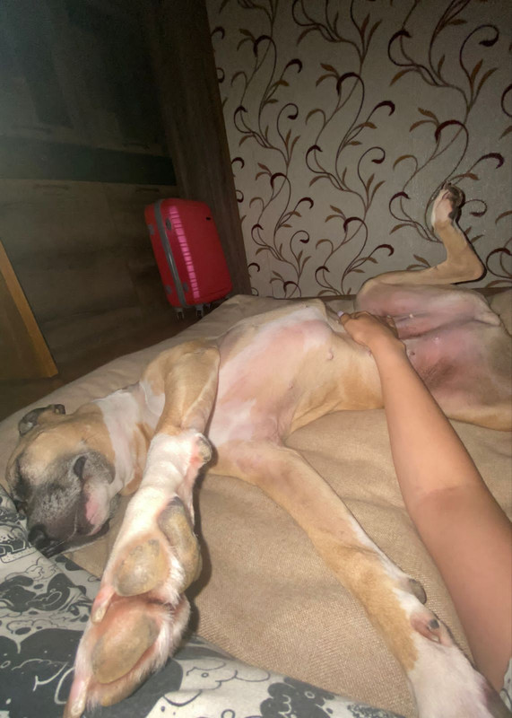 EC67FA85-7017-492D-9E8B-FB570F126C3D