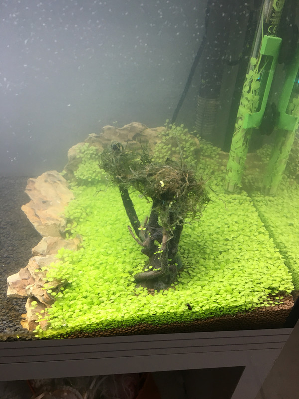 E2346331-24A4-4DCE-9C1E-A8C2D827ECA6