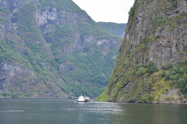 21 días por el Sur de Noruega - Blogs de Noruega - Día 10. Crucero por el Naeroyfjord (1)