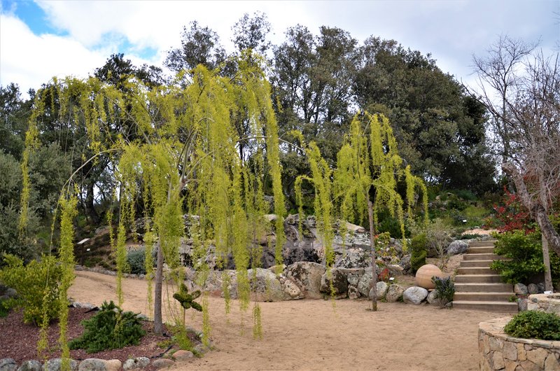 EL BOSQUE ENCANTADO-6-4-2013-MADRID - Paseando por España-1991/2015-Parte-1 (34)