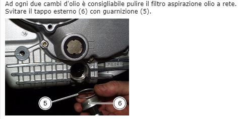 HM 1100S Manutenzione - Olio motore_4