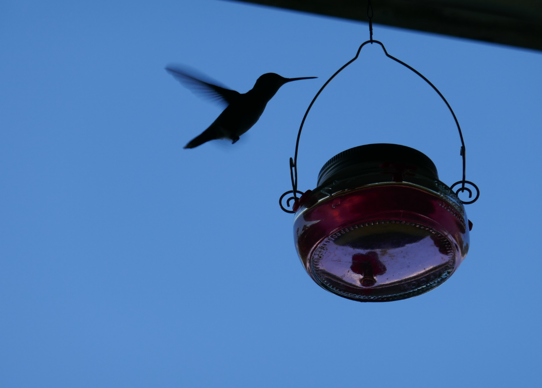 Screenshot 2025-09-29 7.08.20 PM