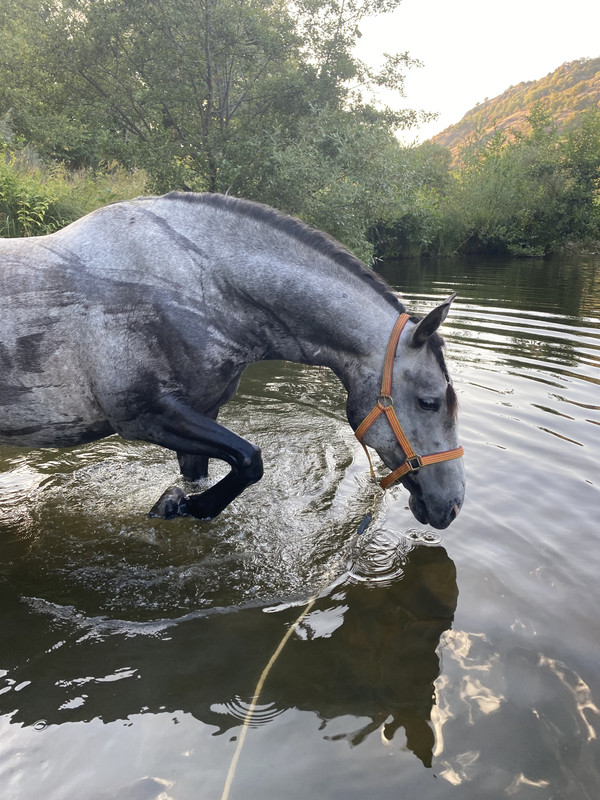 7711DD89-0E9C-485F-9DB2-5586936B5298