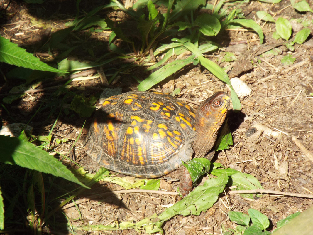 DSCF3473.jpg