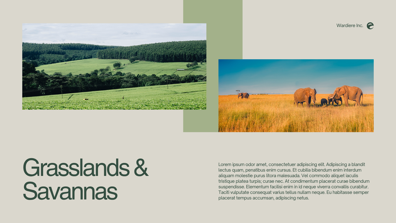 Green and Grey Simple Nature Presentation